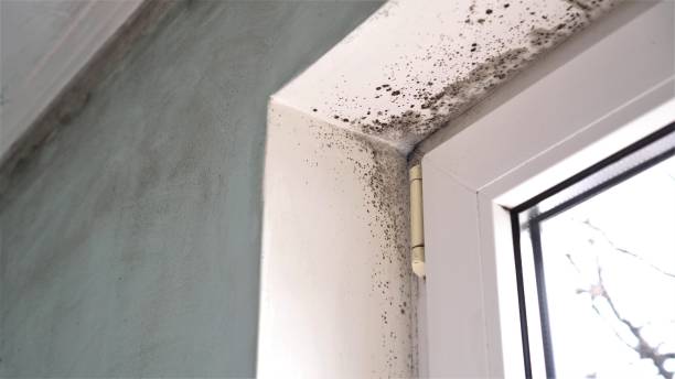 Water Damage Restoration in Nixon, PA