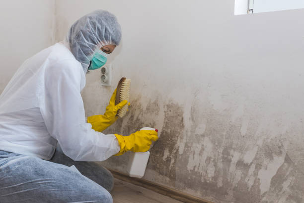 Best Water Damage Restoration  in Nixon, PA