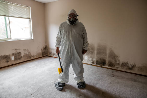 Best Fast Mold Removal  in Nixon, PA